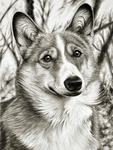  dog_portrait_by_eidolic-d5pmksu (528x700, 311Kb)