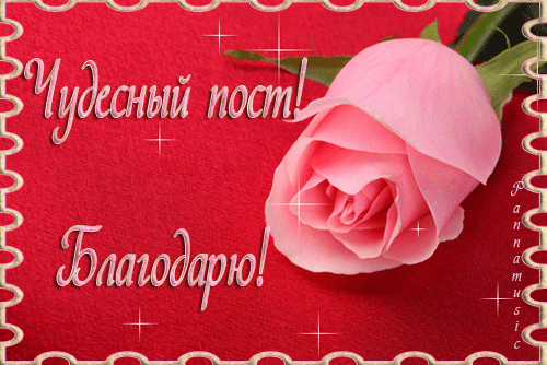 0b1fe11c9408e37ef37de725a1e85ffd (500x334, 214Kb)