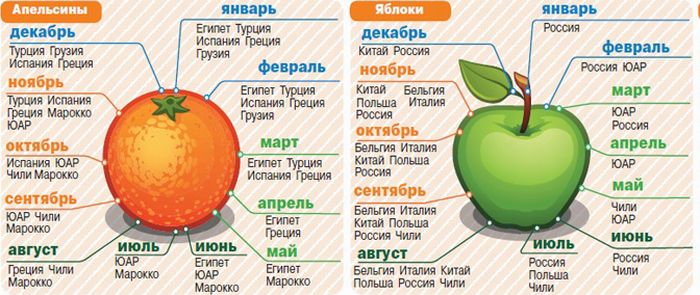 Ребенку можно свежее яблоко. Сезонные фрукты. Сезонные овощи. Сезонность овощей и фруктов таблица. График созревания овощей и фруктов.
