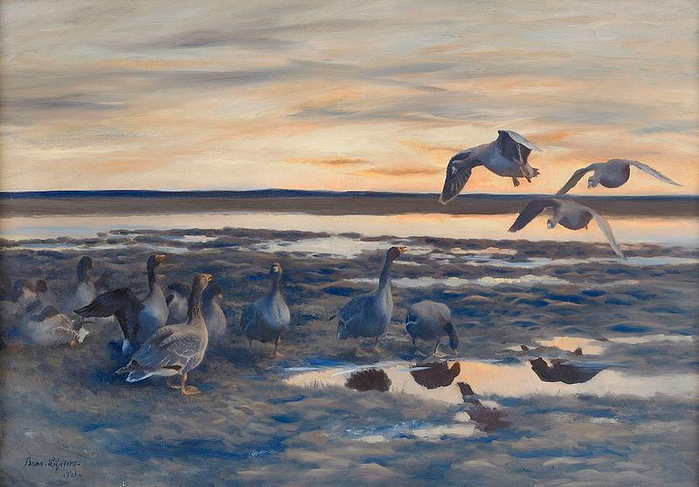 800px-Bruno_Liljefors_-_Bean_geese_shedding_1921 (700x487, 389Kb)