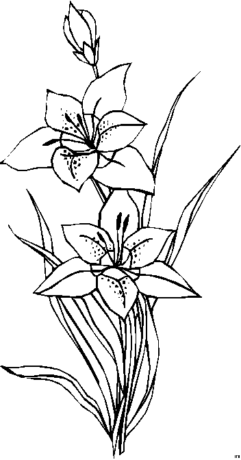 Blumengemischt_HFB-0417 (352x672, 8Kb)