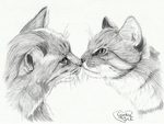  cats_kiss_ii_by_cindy_r-d6ipfju (700x527, 279Kb)