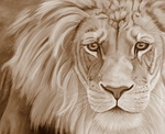  large_lion_by_sarahharas07-d4yhap7 (700x569, 346Kb)