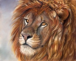  lion___soft_pastel_by_sschukina-d2rauw9 (600x484, 218Kb)