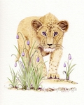  the_lion_cub_by_dusty_feather-d4tglxh (560x700, 259Kb)