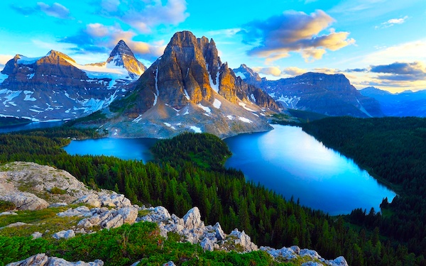 4849288_g (600x375, 128Kb)