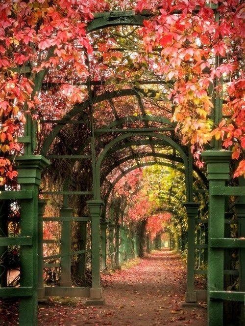 tumblr_mwzhbkn4s31r6ji5co1_500 (500x663, 197Kb)