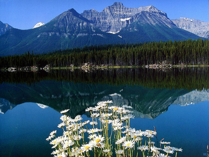 Landscapes - Hector Lake - Banff National Park, Canada (700x525, 469Kb)