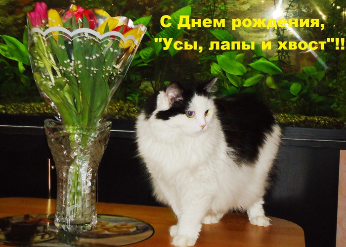  (700x499, 139Kb)