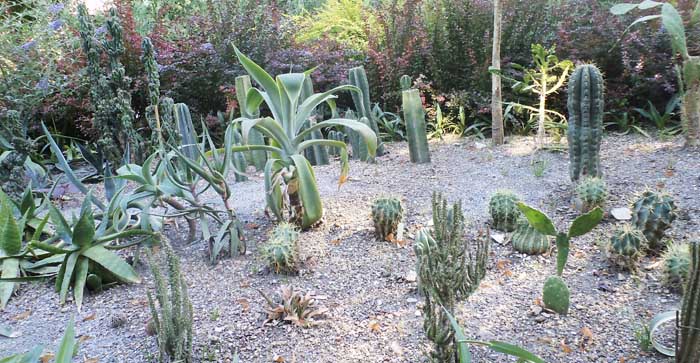 DSC02749 (700x363, 98Kb)