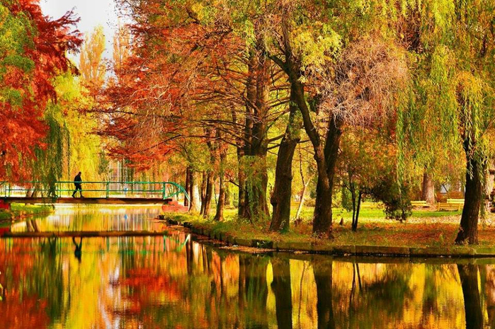 Trivale Park, ,  (700x465, 544Kb)