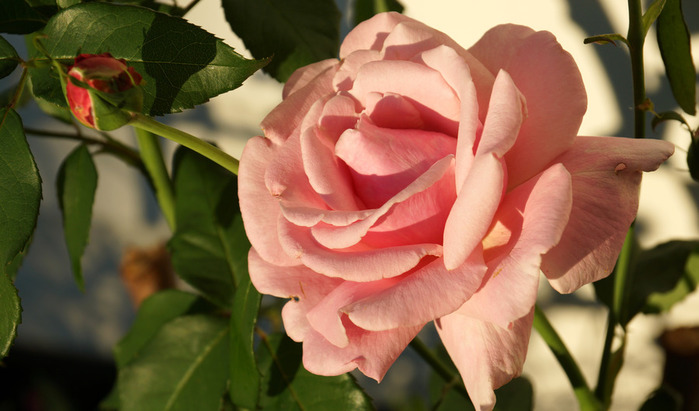 012_edited-1 (700x411, 89Kb)