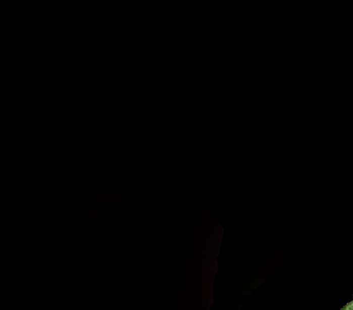 0_69434_5855e95e_orig (700x614, 19Kb)