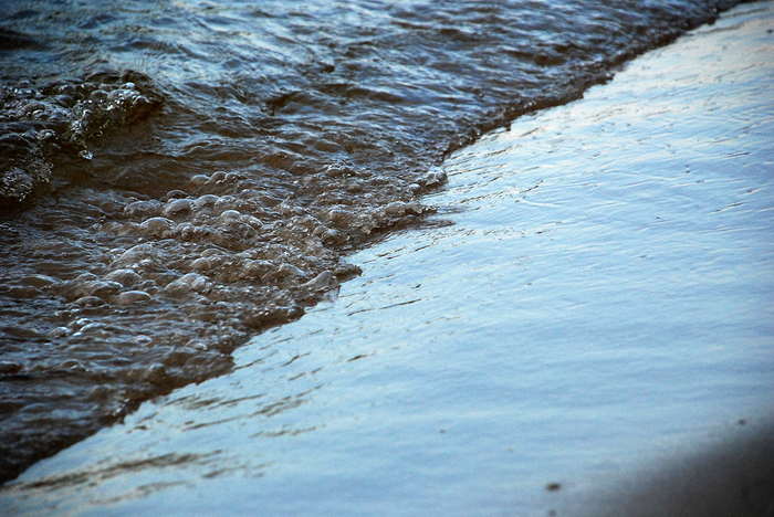 DSC_3170 (700x468, 482Kb)