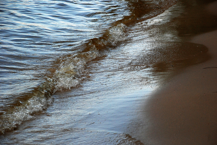 DSC_3173 (700x468, 493Kb)
