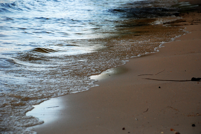 DSC_3176 (700x468, 440Kb)