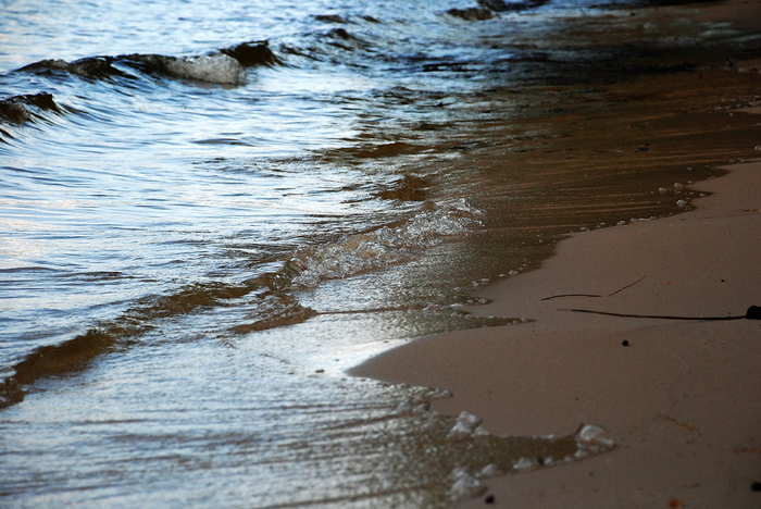 DSC_3177 (700x468, 446Kb)