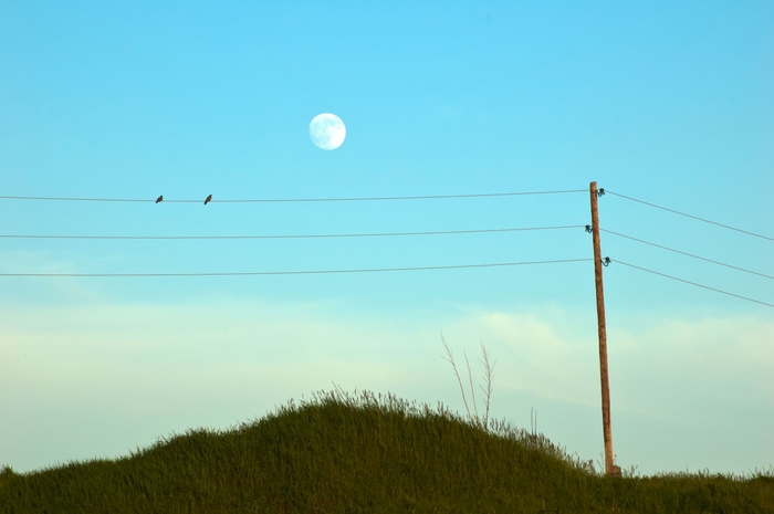 3392780_DSC_1737 (700x465, 154Kb)
