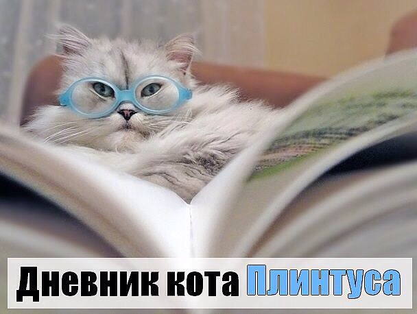 image (608x458, 158Kb)