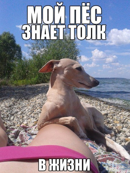 1 (453x604, 288Kb)