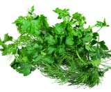 3970017_1242371164shutterstock_27402055 (160x132, 5Kb)