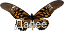 4690170_105923223_2936591 (130x63, 18Kb)