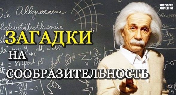 загадки (588x319, 52Kb)