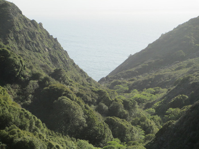 IMG_2436 (700x525, 100Kb)