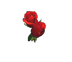  (232x200, 7Kb)