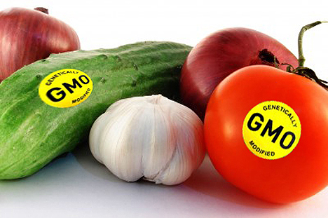 gmo-veggies (468x311, 120Kb)