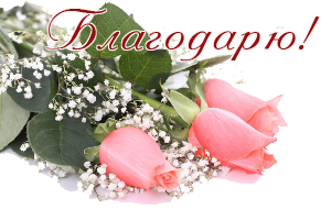 97846678_87063385_Gentile_roses__33_kopirovanie (300x201, 97Kb)