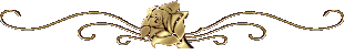 (310x50, 3Kb)