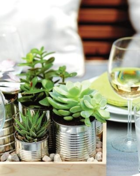 how-to-decorate-with-succulents-examples-1 (480x600, 209Kb)