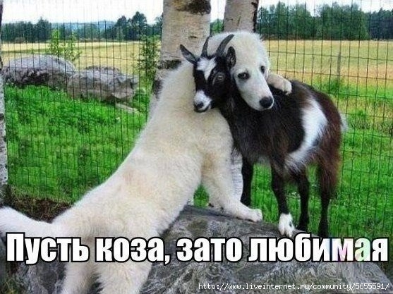 H0bI3p9lfbM (557x417, 176Kb)