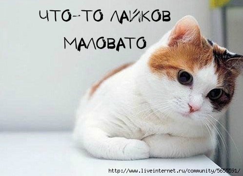 jHGByuvysjI (498x360, 82Kb)