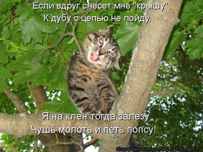  :     ,   !/5402287_d6b6f98c32695563abc0abeacc1cf0bb_61337 (700x524, 86Kb)