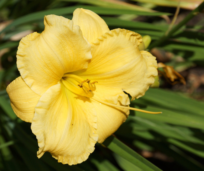 009_edited-1 (700x588, 111Kb)