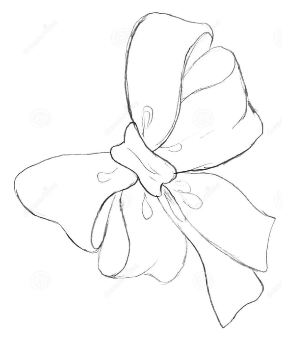 bow-pencil-drawing-13997004 (575x700, 75Kb)