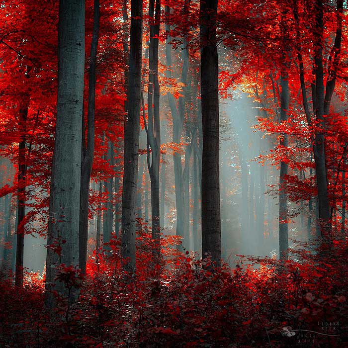 112446745_large_Ildiko_Neer__TuttArt____35_ (700x700, 107Kb)