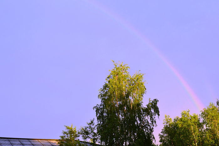 _DSC1622 (700x466, 347Kb)