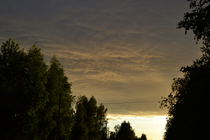 _DSC1627 (700x466, 347Kb)