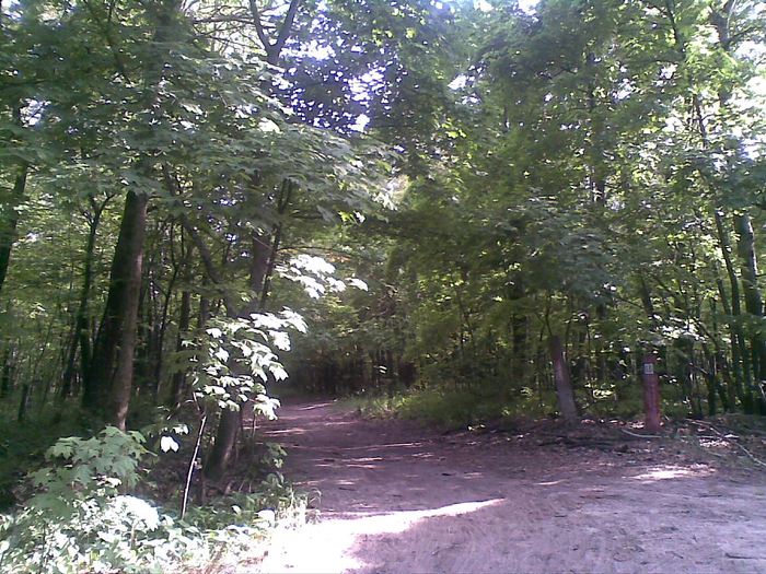 06072014(002) (700x525, 567Kb)