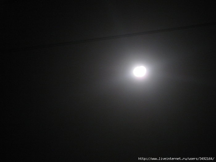 IMG_5078 (700x525, 166Kb)
