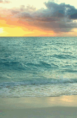 mare1 (269x413, 557Kb)