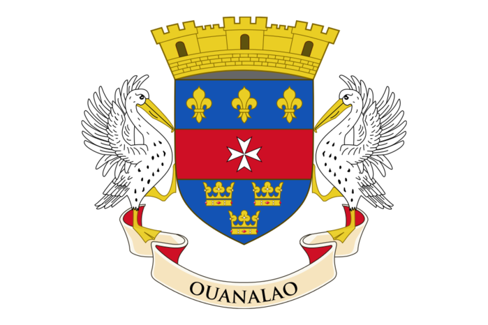 Flag_of_Saint_Barthelemy_(local).svg (700x466, 162Kb)