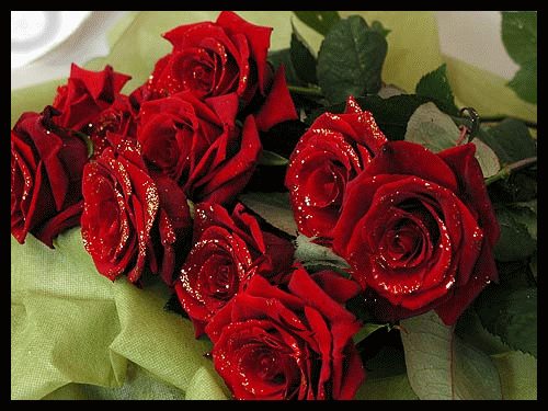 mazzo di rose rosse (500x375, 1678Kb)