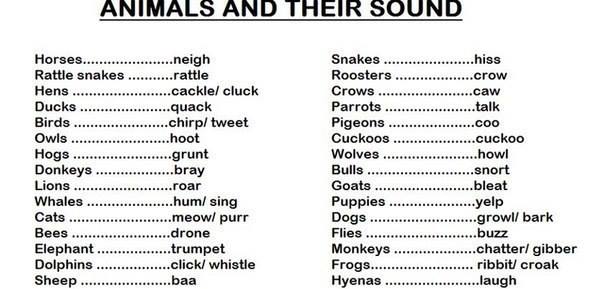 10478525_671630086262293_2637871554214664849_n (604x289, 30Kb)