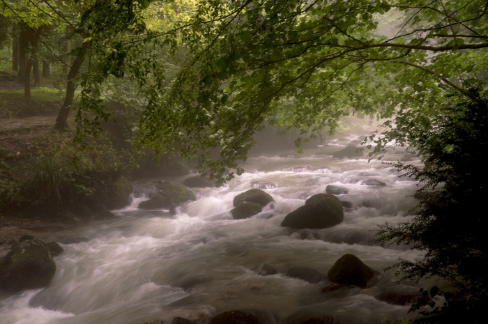4213829__DSC0341 (700x465, 267Kb)
