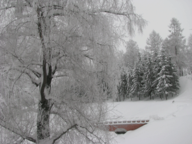 5276173_IMG_9365 (280x210, 59Kb)