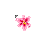 animaatjes_flowers_icon34 (95x95, 0Kb)